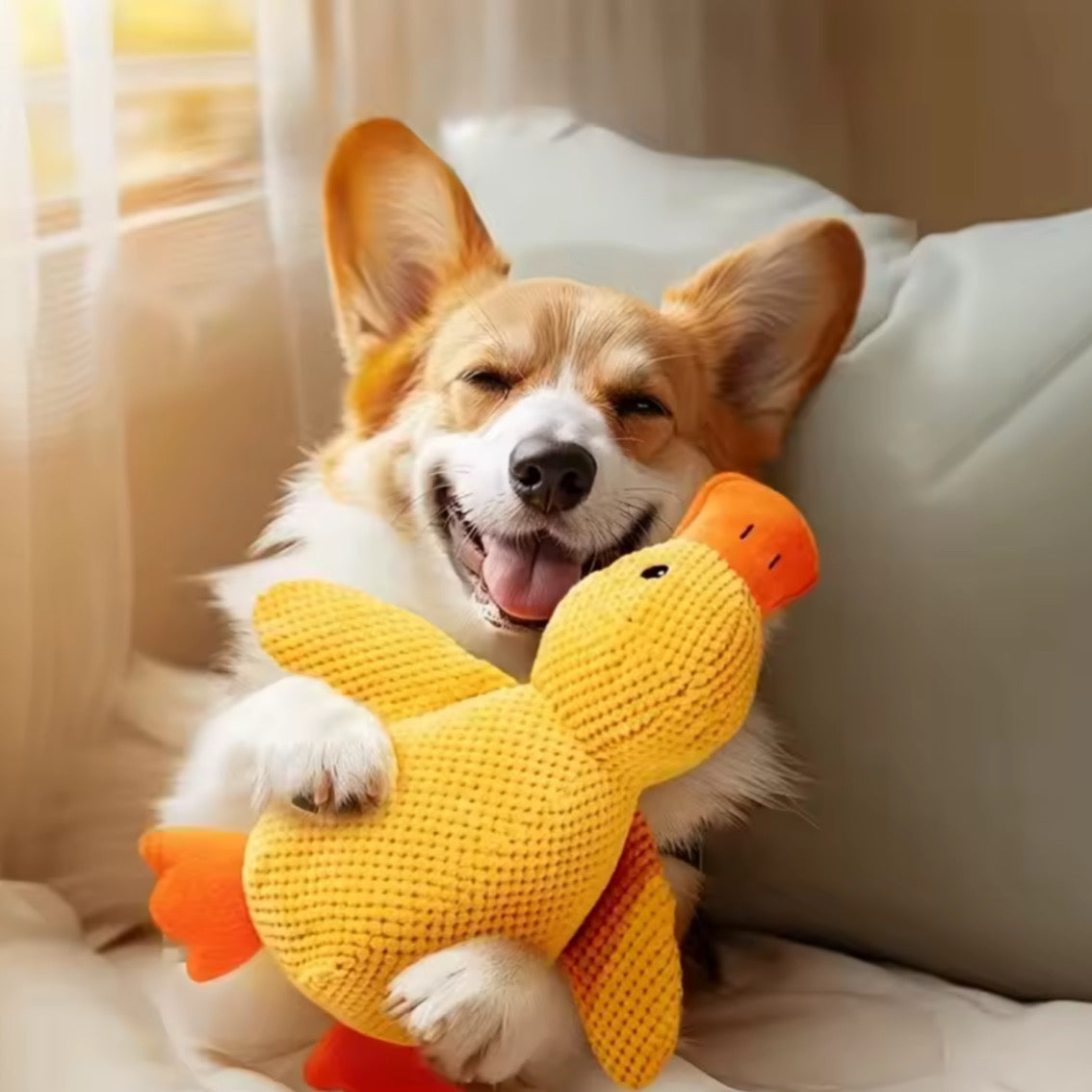 Soft Comfort Companion with Durable Squeaker